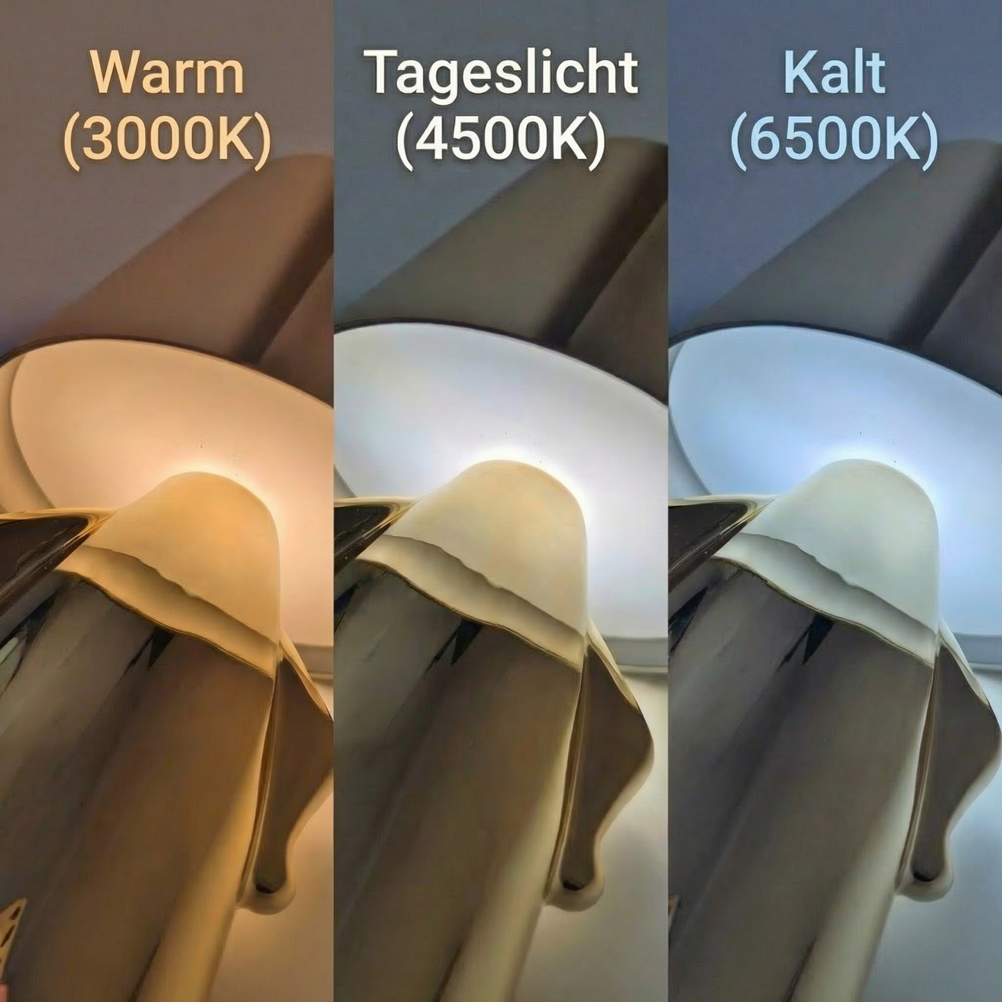 Wally der kleine Kumpel