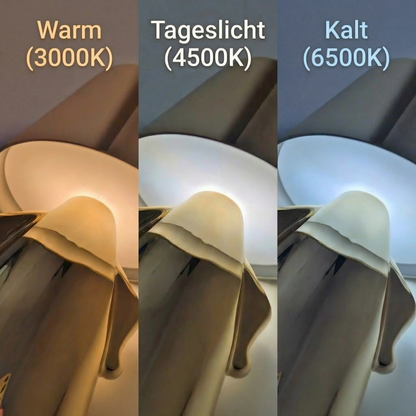 Wally der kleine Kumpel