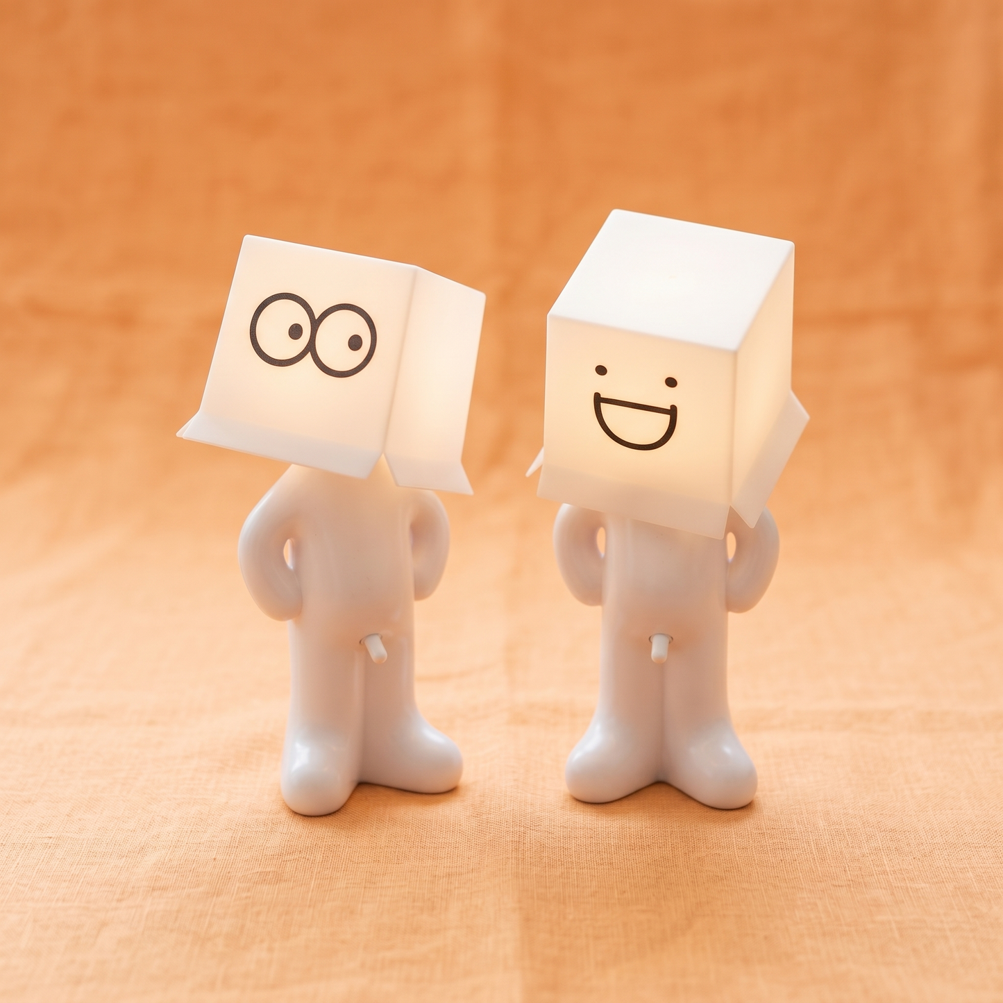 Lampen-Larry - Boxed